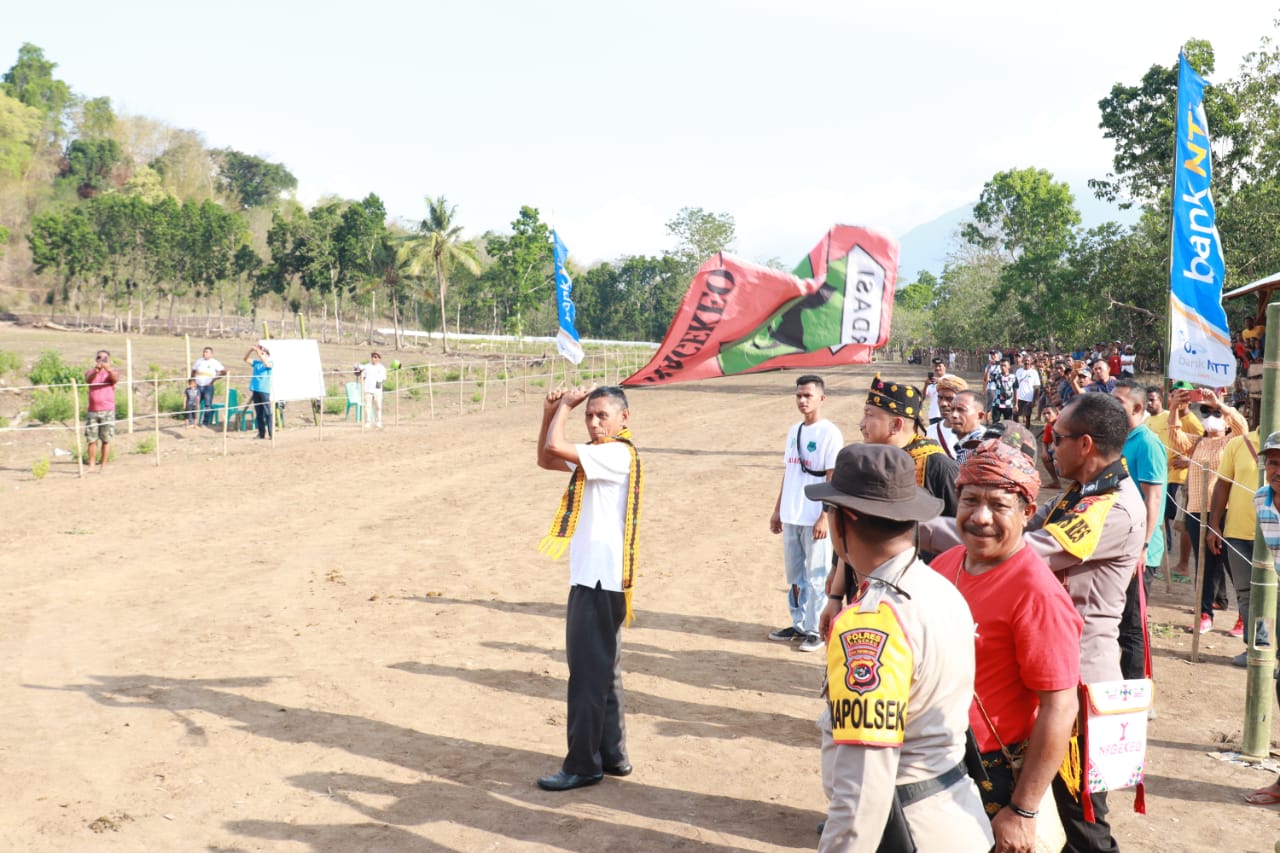 Wakil Bupati Nagekeo Membuka Kegiatan Lomba Pacuan Kuda Piala Bupati (1)