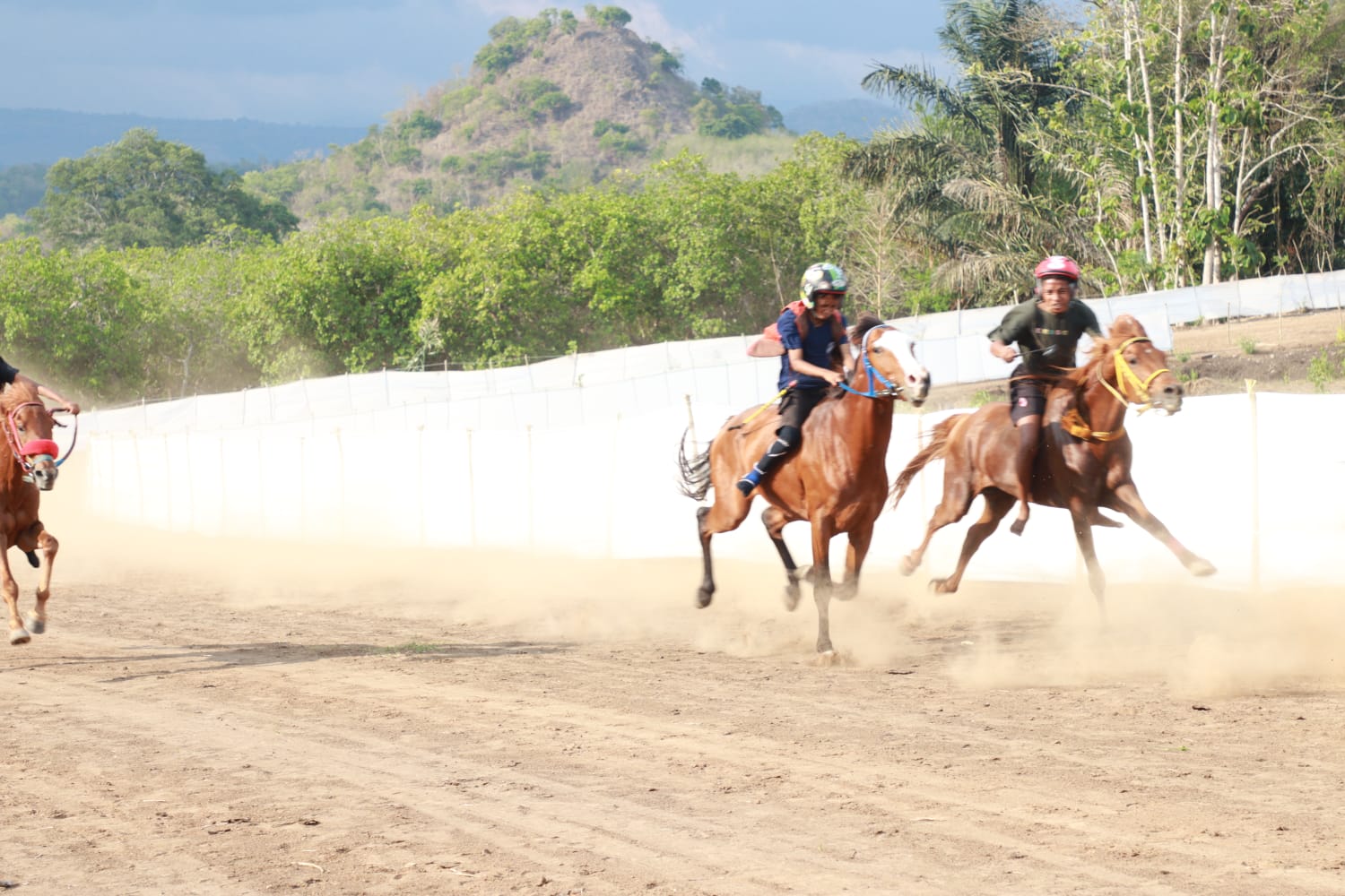 Wakil Bupati Nagekeo Membuka Kegiatan Lomba Pacuan Kuda Piala Bupati (3)