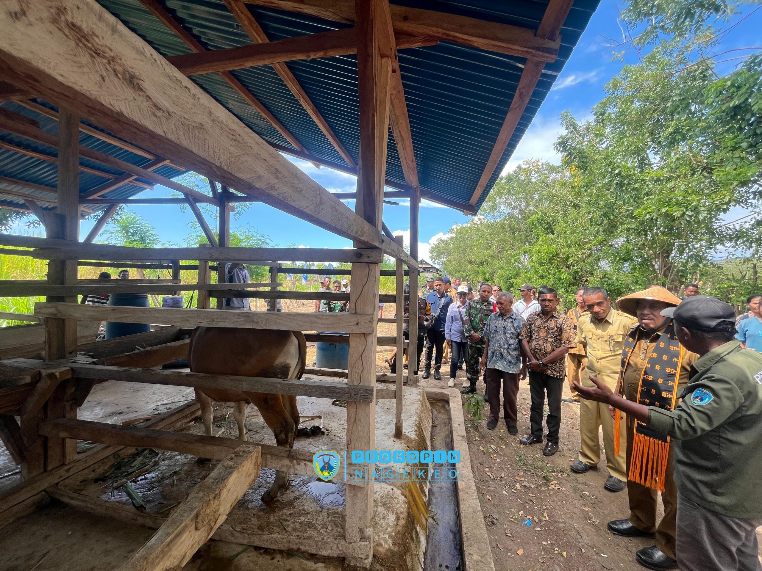 Bupati Nagekeo Hadiri Acara Temu Usaha Ketahanan Pangan; Pengembangan Hortikultura di Pondok Milenial Anakoli (4)