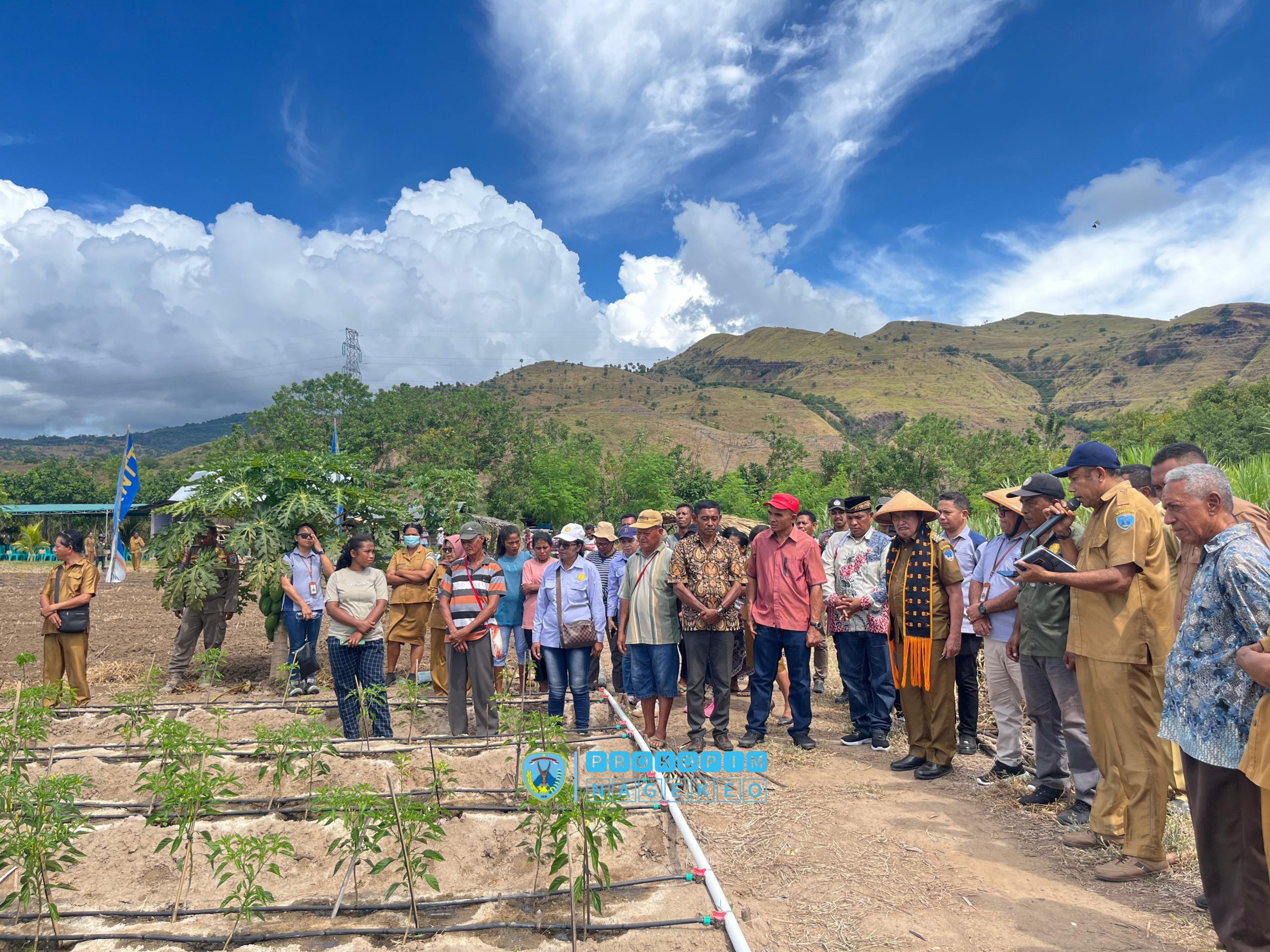 Bupati Nagekeo Hadiri Acara Temu Usaha Ketahanan Pangan; Pengembangan Hortikultura di Pondok Milenial Anakoli (6)