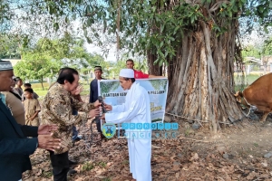 Bupati Nagekeo Serahkan Satu Ekor Sapi Kurban Bantuan Presiden RI