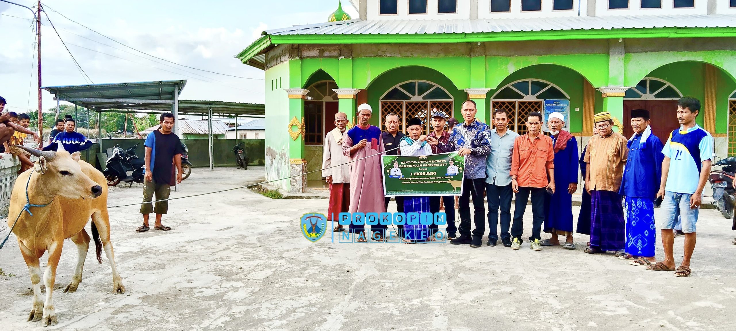 Gubernur NTT Serahkan Bantuan Hewan Qurban di Masjid Nurrahman Nangadhero (2)
