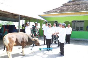 Jelang Hari Raya Idul Adha 1446 H, Bupati Nagekeo Serahkan Bantuan Hewan Kurban
