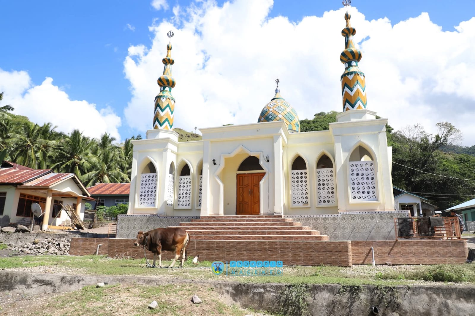 Jelang Hari Raya Idul Adha 1446 H, Bupati Nagekeo Serahkan Bantuan Hewan Kurban (5)