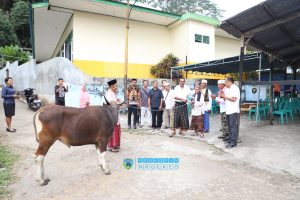 Wakil Bupati Nagekeo Serah Bantuan Hewan Qurban Kepada Masjid Baiturrahman Boawae