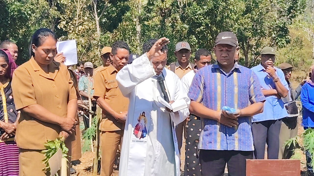 Bupati Nagekeo Tanam Perdana Pepaya California (2)