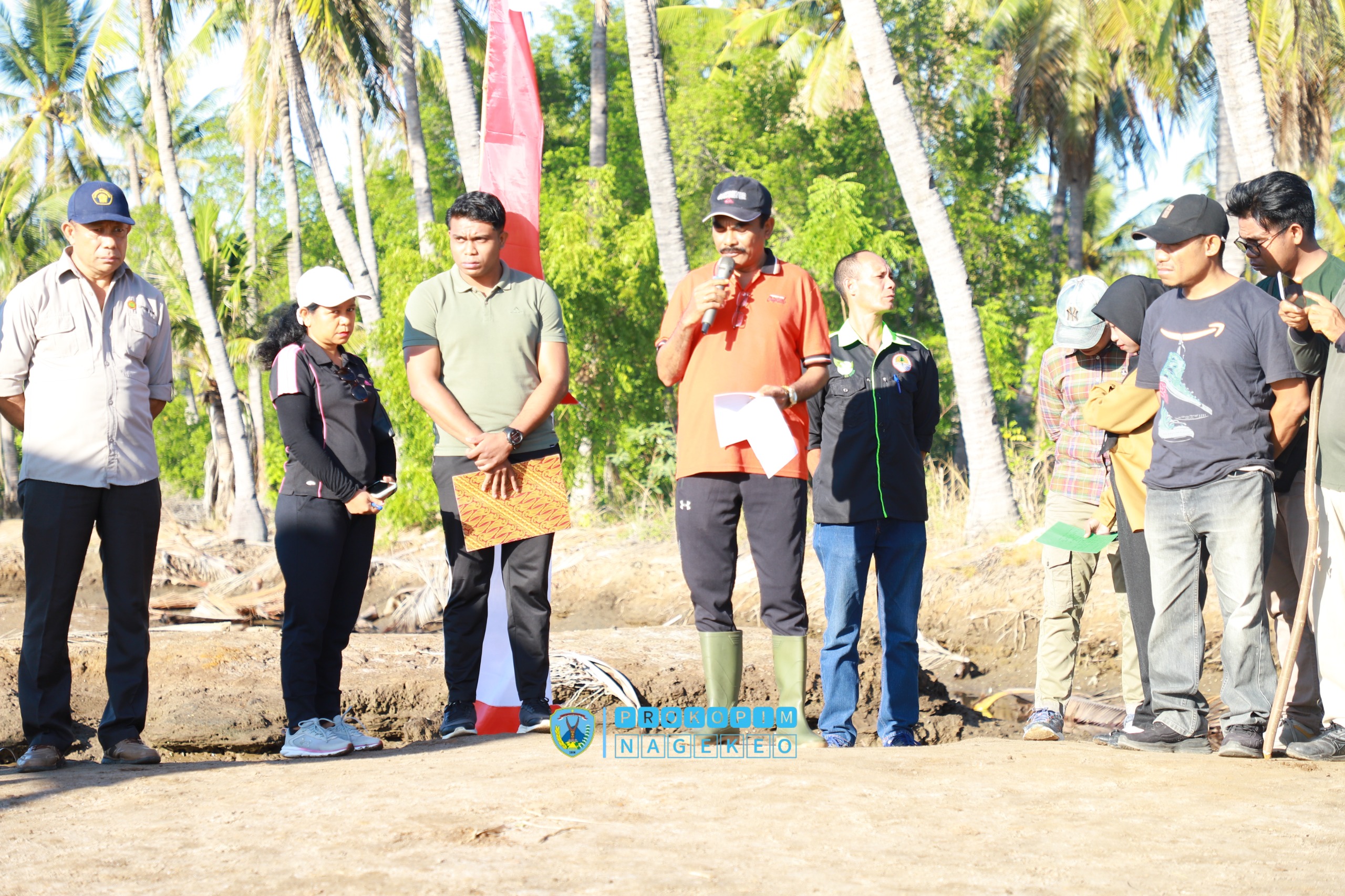 Peringati Hari Mangrove Sedunia, Wabup Nagekeo Pimpin Penanaman Mangrove di Pantai Nangadhero (6)