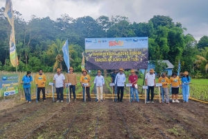 Pelatihan Budidaya Jagung Sesuai Good Agriculture Practice